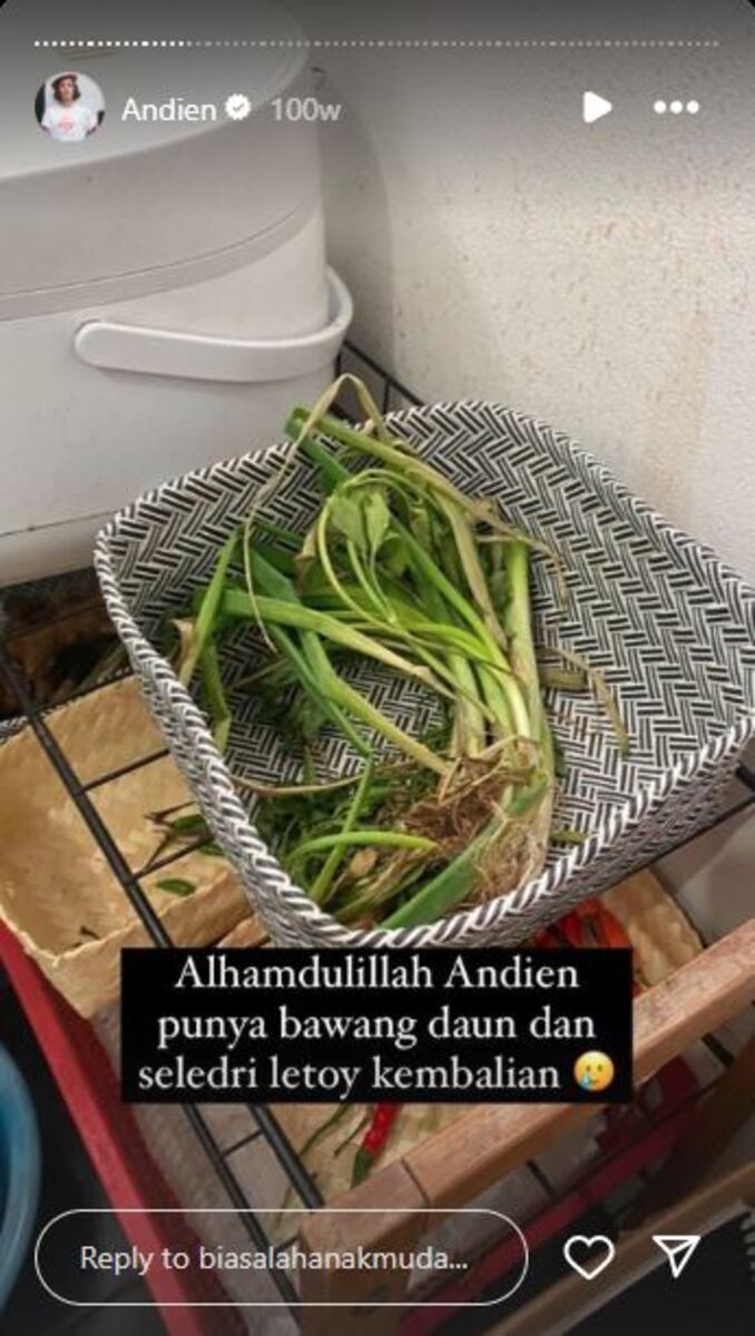 Andien huni rumah bak galeri seni tapi dapurnya penuh perabot semrawut di bawah kolong, 10 potretnya