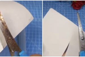 Jangan beli baru, coba trik jitu bersihkan gunting berkarat dan tumpul agar tajam pakai 3 bahan dapur