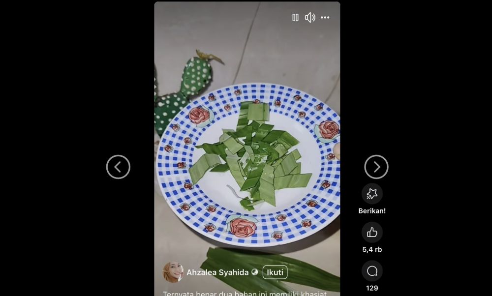 Tak harus bahan kimia, trik usir nyamuk secara alami andalkan 1 jenis daun dan 2 bahan sederhana