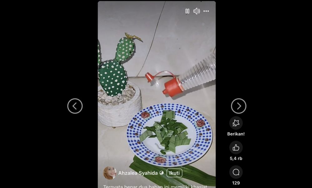 Tak harus bahan kimia, trik usir nyamuk secara alami andalkan 1 jenis daun dan 2 bahan sederhana