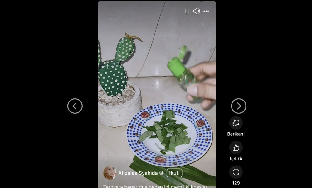 Tak harus bahan kimia, trik usir nyamuk secara alami andalkan 1 jenis daun dan 2 bahan sederhana