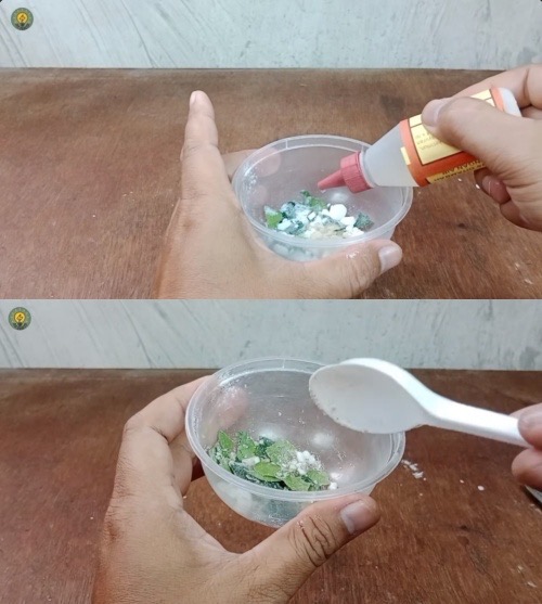 Trik bikin usir tikus dari rumah cuma pakai tambahan 1 rempah daun, bakal kapok balik lagi