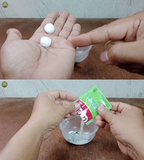 Trik bikin usir tikus dari rumah cuma pakai tambahan 1 rempah daun, bakal kapok balik lagi