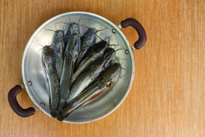Cara mudah menghilangkan lendir pada ikan lele agar masakan lebih lezat andalkan bahan dapur