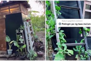 Dari luar seperti gubuk, ternyata 9 potret kamar ini dalamnya estetik bikin terkecoh