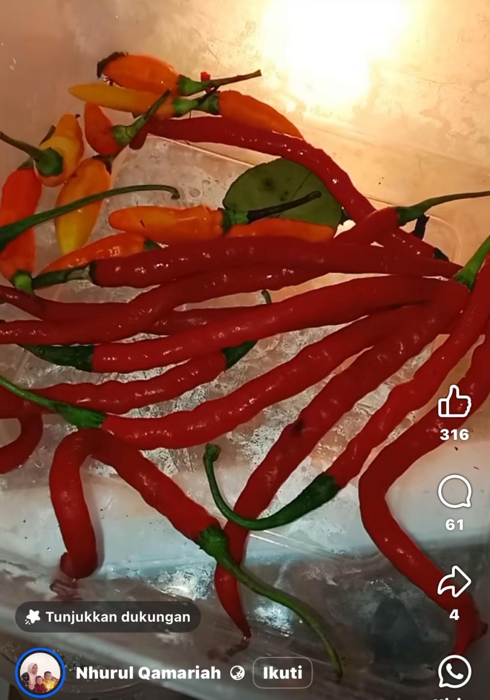 Tanpa membuang tangkainya, ini cara simpan cabai agar awet segar lebih dari 2 minggu