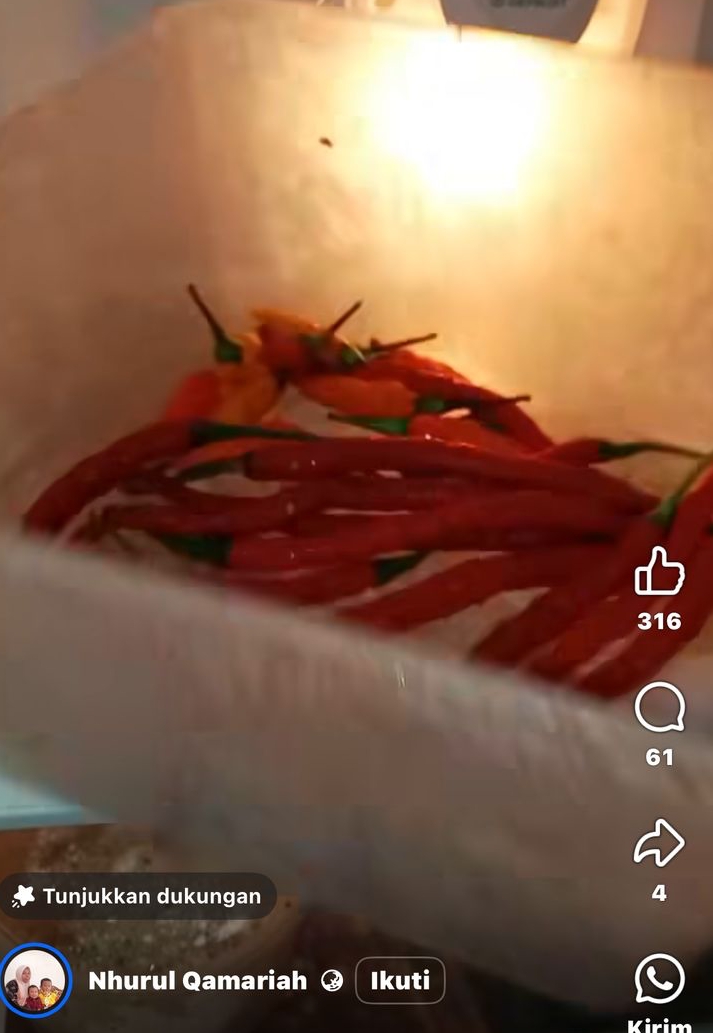 Tanpa membuang tangkainya, ini cara simpan cabai agar awet segar lebih dari 2 minggu