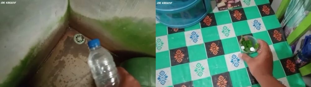 Trik jitu mencegah tikus masuk ke rumah tanpa perangkap dan racun, cuma pakai 1 bumbu masak auto kabur
