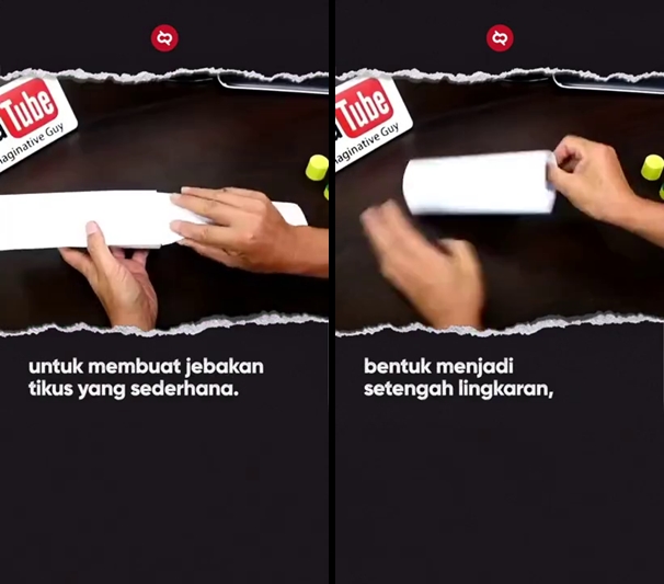 Bikinnya cuma butuh 1 menit, begini cara bikin perangkap tikus sederhana hanya pakai 1 bahan bekas