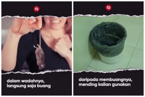 Bikinnya cuma butuh 1 menit, begini cara bikin perangkap tikus sederhana hanya pakai 1 bahan bekas