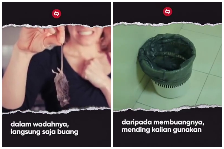 Bikinnya cuma butuh 1 menit, begini cara bikin perangkap tikus sederhana hanya pakai 1 bahan bekas