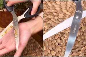 Trik agar karat gunting bersih hilang dalam sekali usap, jadi baru lagi pakai 1 peralatan mandi