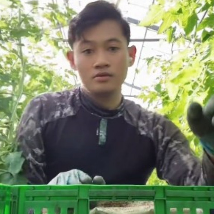 Emoh hidup miskin di Indonesia, pria ini pilih jadi petani di Jepang, kerja santai gaji serius