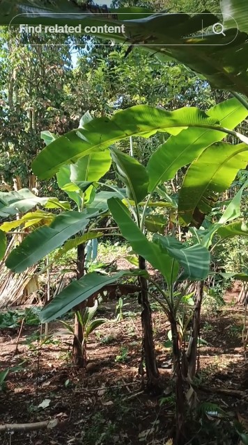 Luarnya bak gubuk usang di tengah hutan, 9 potret rumah ini interiornya mirip di kompleks elit