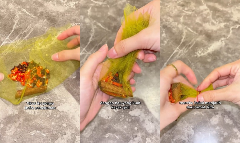 Tak perlu repot pasang jebakan besi, ini trik ampuh cegah tikus masuk ke dapur pakai 3 bumbu masakan