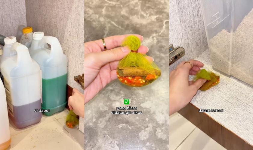 Tak perlu repot pasang jebakan besi, ini trik ampuh cegah tikus masuk ke dapur pakai 3 bumbu masakan