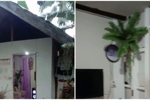 Dari depan tampak sederhana, 9 potret rumah kecil bak gubuk ini interiornya estetik pol