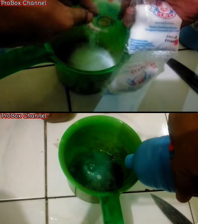 Auto rontok, ini cara ampuh bersihkan lumut bandel di lantai kamar mandi cuma pakai 2 bahan sederhana