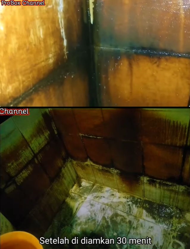 Auto rontok, ini cara ampuh bersihkan lumut bandel di lantai kamar mandi cuma pakai 2 bahan sederhana