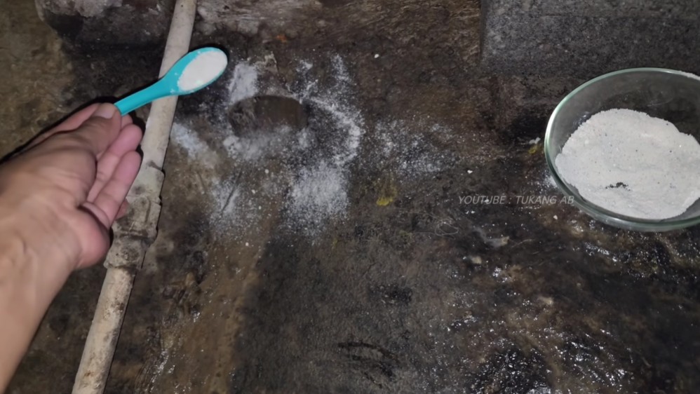 Trik basmi tikus di rumah tanpa pakai racun, cuma tambahan 1 bumbu masakan dijamin auto ngacir