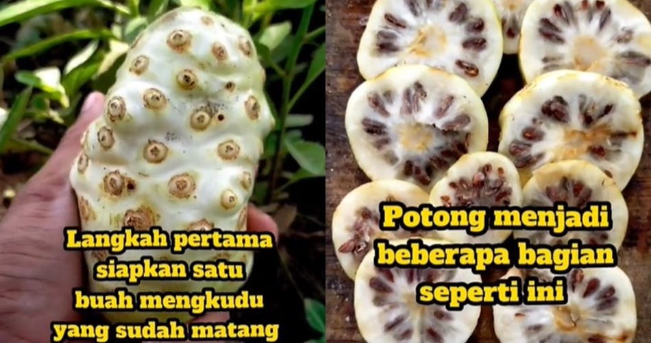 Trik mudah membasmi tikus dari rumah tanpa repot pasang perangkap atau racun, cuma pakai 1 jenis buah