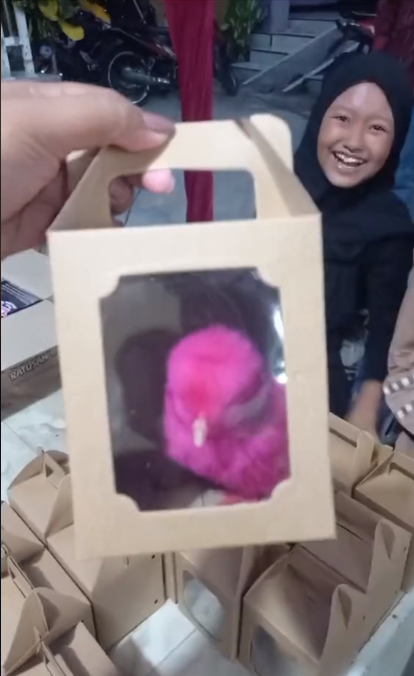 Potret souvenir pernikahan ini isinya unik, bukan kipas atau alat makan, bikin kasihan tapi gemes