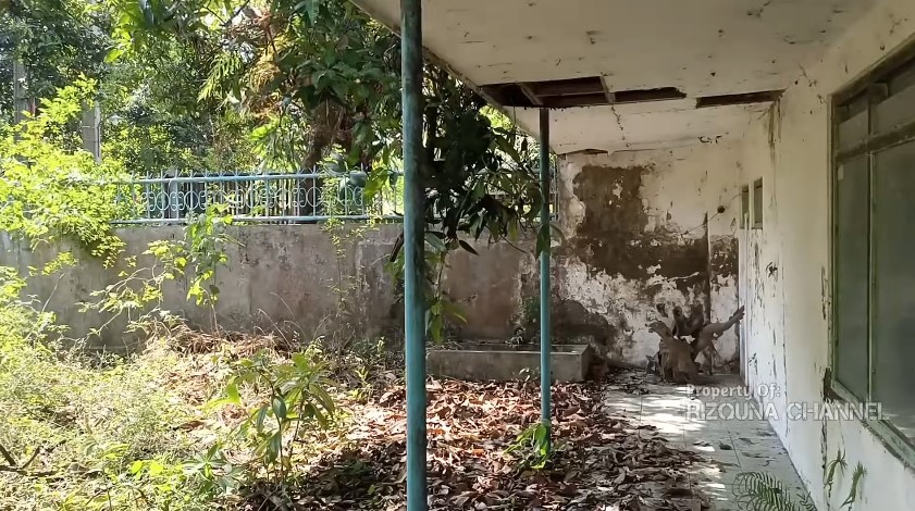 Terbengkalai 23 tahun, begini 11 potret rumah singgah mendiang Benyamin Sueb, penuh semak belukar