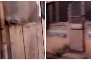 Luarnya rombeng tak layak huni, 7 potret bagian dalam rumah ini fasilitasnya mewah cocok buat gaming