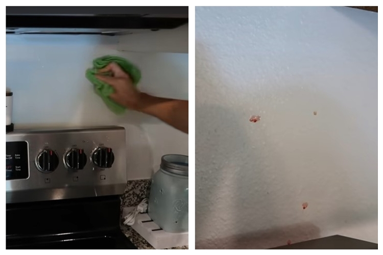 Trik agar noda di dinding dan perabot dapur bersih seketika, semakin wangi pakai 2 bahan sederhana