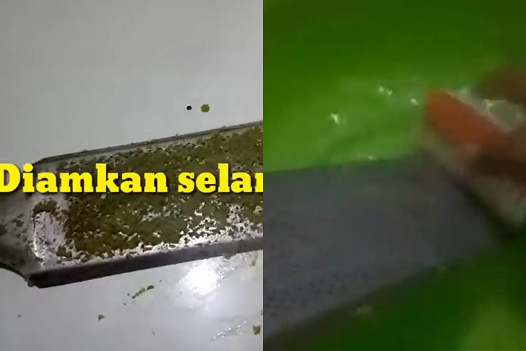 Trik mudah menghilangkan karat di parutan kelapa agar aman dipakai lagi dengan 1 bahan minuman