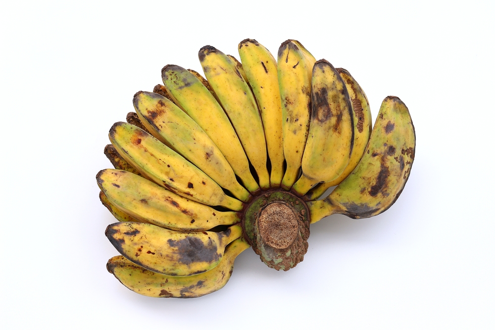 Cara merebus pisang kepok agar tetap cerah cantik dan tidak menghitam