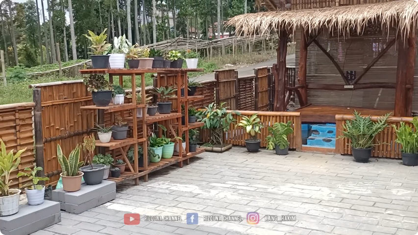 Bak gubuk letaknya di tengah hutan, 8 potret rumah panggung ini model kuno estetik