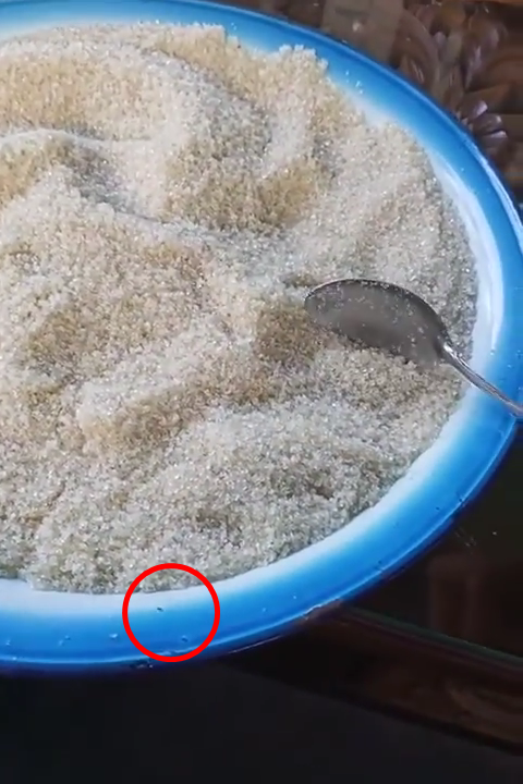 Trik simpel mengusir semua dari toples gula pasir tanpa bahan apa pun