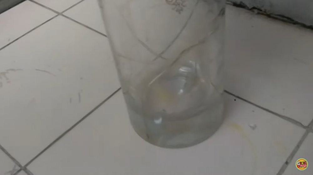 Trik simpel memperbaiki gelas kaca pecah tanpa lem, cuma pakai 1 bahan dapur