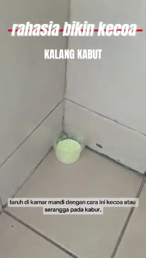 Tanpa produk pembasmi, ini trik bikin kecoak kabur dari rumah pakai tambahan 1 bahan dapur