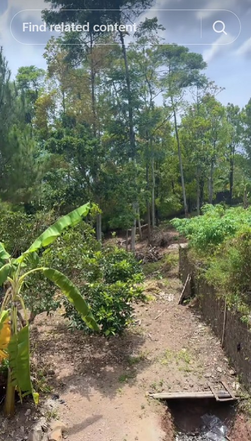 Wanita ini dicibir karena rumahnya di hutan tapi punya interior estetik bak di hotel, ini 11 potretnya