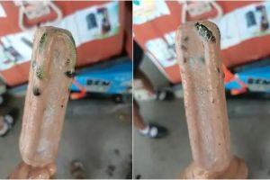 Bikin merinding, pria ini temukan ular membeku di es krim