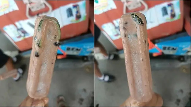 Bikin merinding, pria ini temukan ular membeku di es krim