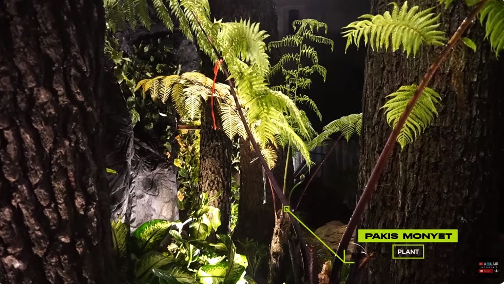 Penampakannya bak hutan Amazon, begini 11 potret rainforest Raffi Ahmad yang dibangun hanya 2 bulan