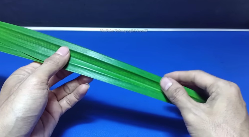 Tak perlu bikin perangkap, ini trik simpel usir cicak dari rumah pakai tambahan 1 sampah dapur