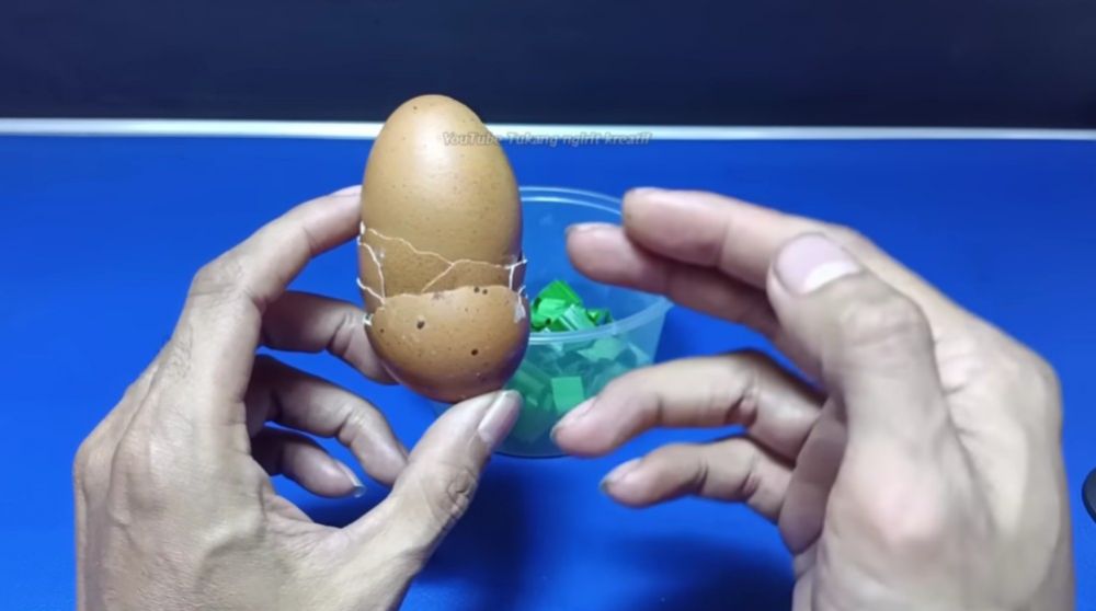 Tak perlu bikin perangkap, ini trik simpel usir cicak dari rumah pakai tambahan 1 sampah dapur