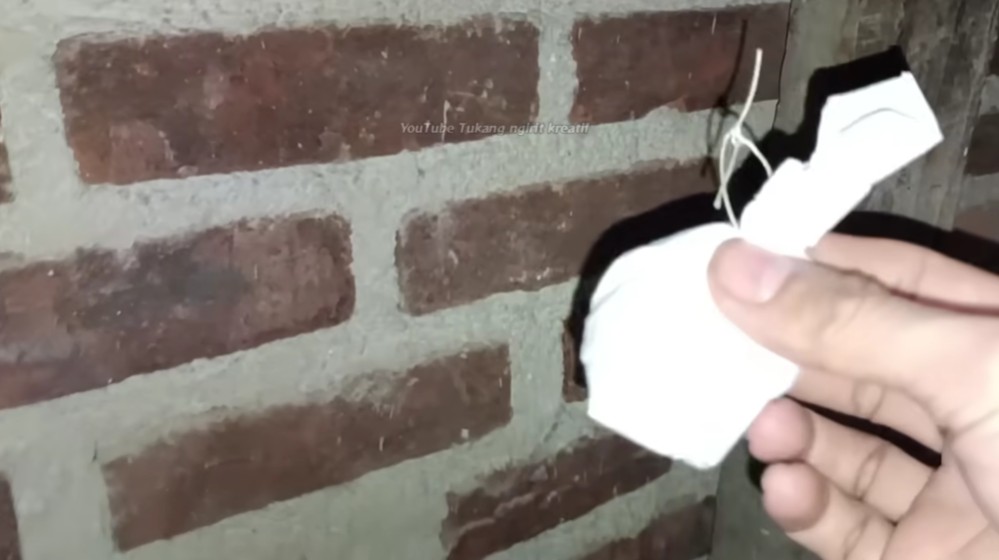 Tak perlu bikin perangkap, ini trik simpel usir cicak dari rumah pakai tambahan 1 sampah dapur