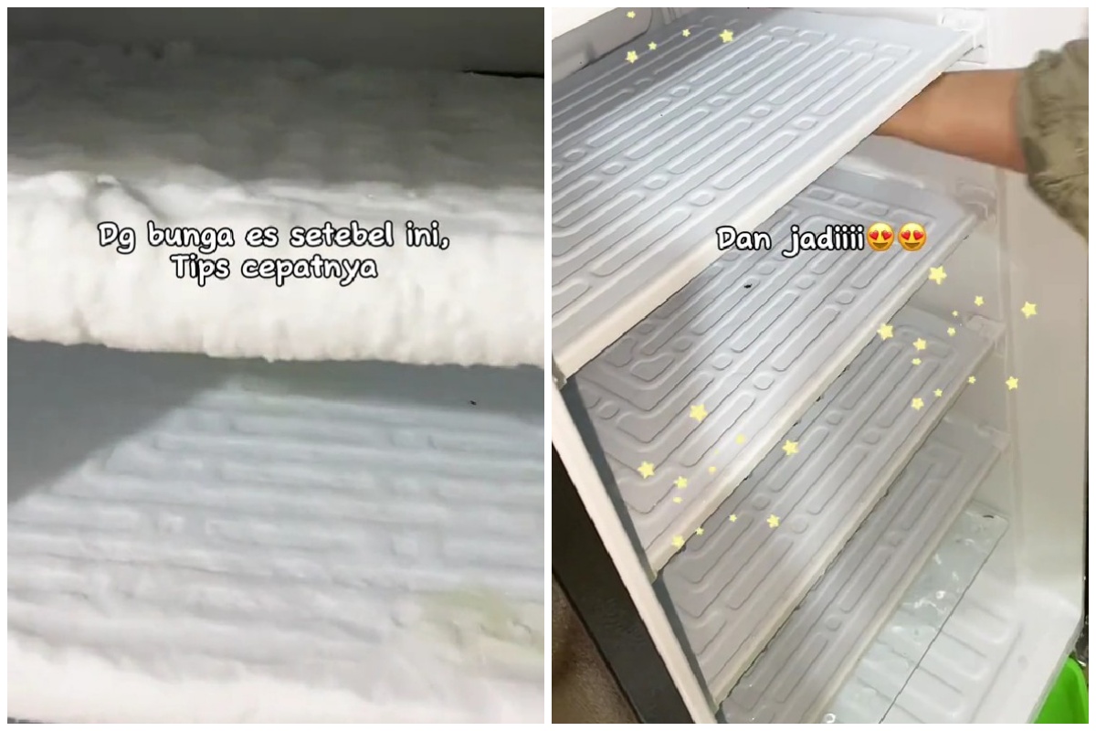 Trik mencairkan bunga es di freezer cuma 20 menit, auto bersih tanpa repot dicongkel