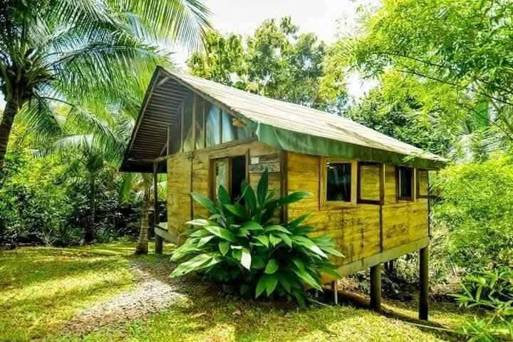 Dari luar tampak kumuh beratap seng, 7 potret dalam rumah kayu ini bak vila estetik