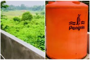 Punya jamban unik menyatu dengan alam, 7 potret kamar mandi ini bikin auto mikir dua kali mau pakai