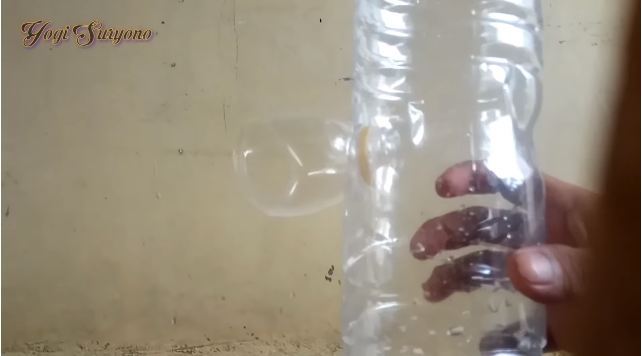 Trik simpel bikin perangkap lalat di meja makan hanya dengan 1 sampah dapur