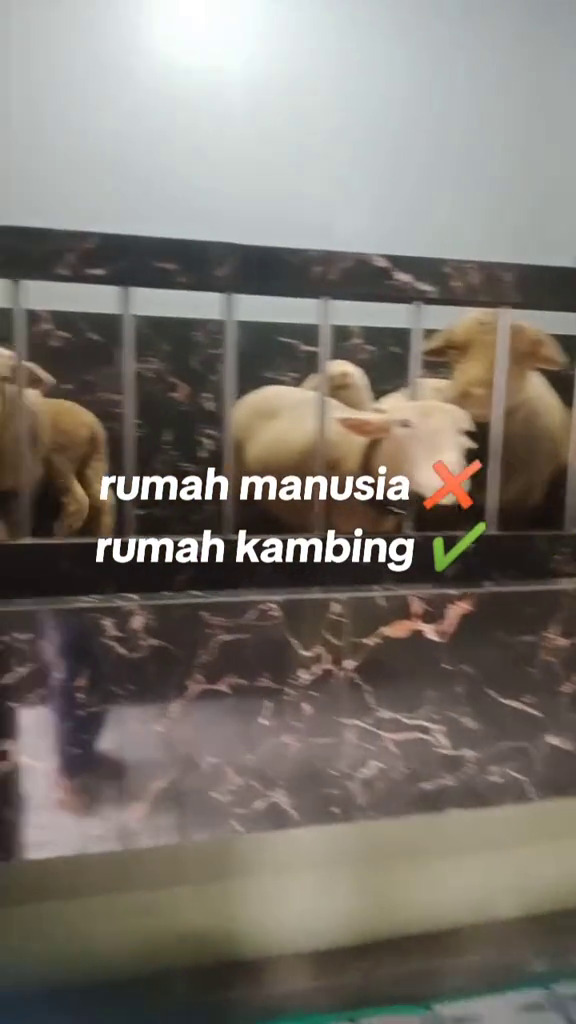 Mewah dua lantai, rumah ini tak dihuni orang tapi punya fungsi unik bikin warganet iri, 9 potretnya