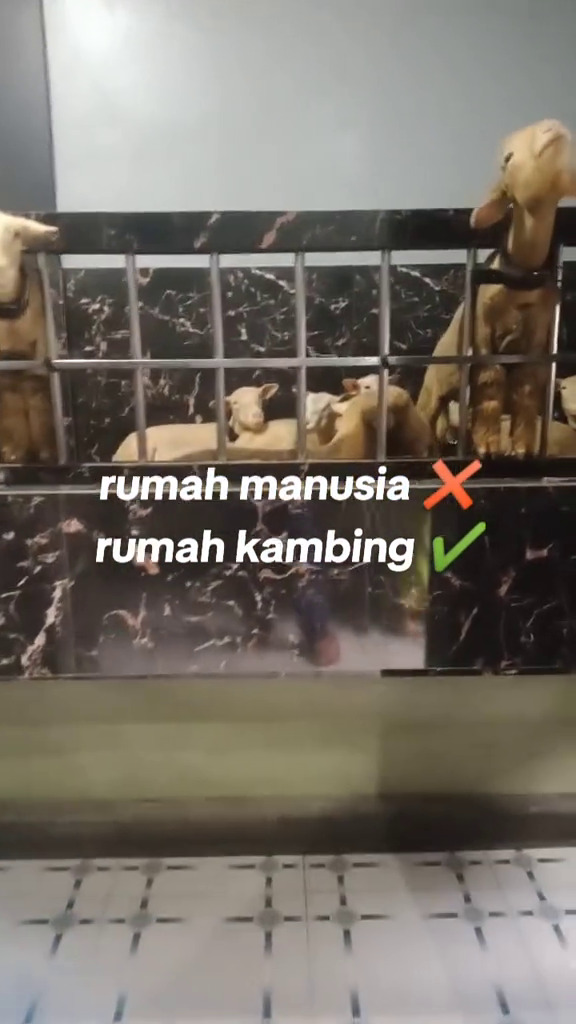 Mewah dua lantai, rumah ini tak dihuni orang tapi punya fungsi unik bikin warganet iri, 9 potretnya