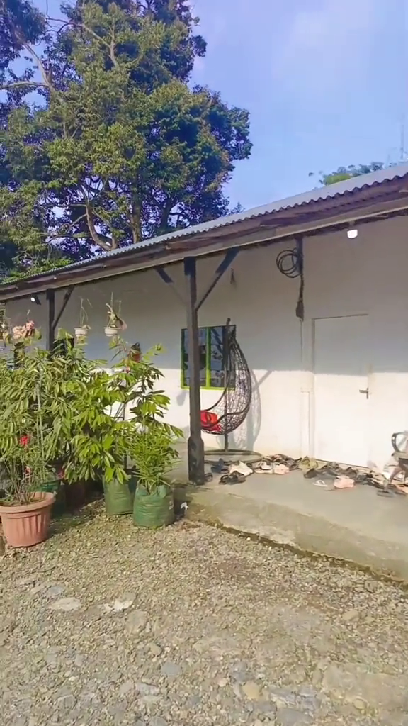 Luarnya terlihat sederhana berdinding papan, 9 potret dalam rumah ini mewah pol serba warna emas