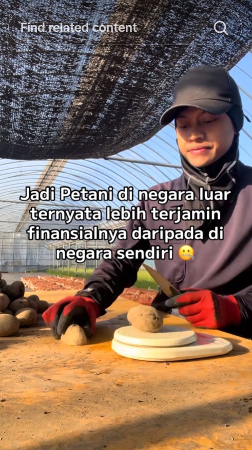 Susah payah sekolah sarjana, pria ini kabur jadi petani muda di Jepang, digaji Rp20 juta, ini kisahnya
